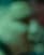 Detected face 6