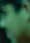 Detected face 8