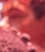 Detected face 6