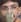Detected face 44