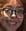 Detected face 41