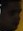 Face 11