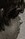 Face 4
