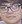 Face of Lep