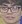 Face of Lep
