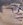 Face of Lep