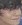 Face 18