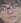 Face 25