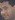 Face 9