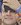 Face 21