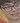 Face 24
