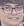 Face of Lep