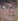 Face 17