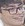Face of Lep