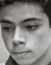 Face of pbO
