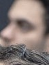 Face 3