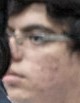 Face of Lynx