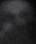 Face 4