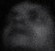 Face 5