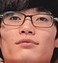 Face of Shrimp
