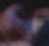 Face 3