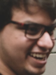 Face of Turtle