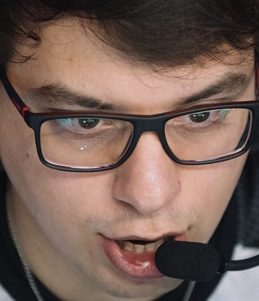Face of Turtle