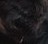 Face 5