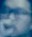 Face 16