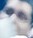 Face 23