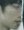 Face of 957