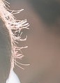 Face 2
