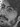 Face 5