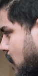Face of Maestro