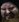 Face 8