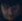 Face 13
