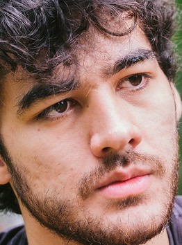 Face of Zantins
