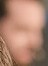 Face 2