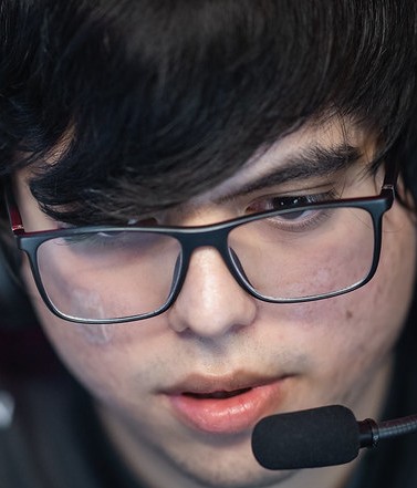 Face of Lynx