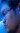 Face 5