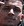 Face 13