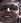 Face 32