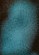 Face 18