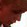 Face 4