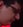 Face of Tay