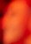 Face 8