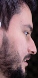 Face of Nappon