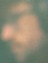 Face 5
