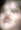 Face 4