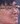 Face of Wizer